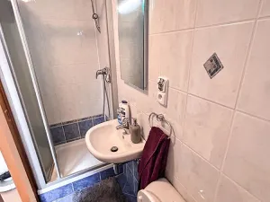 Prodej rodinného domu, Přerov, Svépomoc III, 250 m2