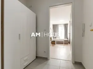 Pronájem bytu 1+kk, Praha - Žižkov, Olgy Havlové, 38 m2