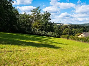 Prodej pozemku pro bydlení, Plasy, 3866 m2