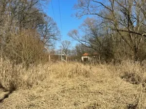 Prodej lesa, Jaroměř, 19276 m2