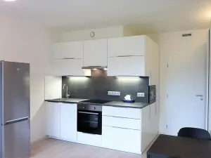 Pronájem bytu 1+kk, Praha - Hodkovičky, Šífařská, 34 m2