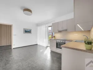 Prodej bytu 3+kk, Žamberk, U Dlouhoňovic, 86 m2