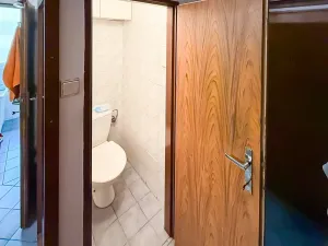 Prodej bytu 3+kk, Praha, Vinohradská, 68 m2