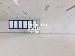 Pronájem obchodního prostoru, Praha - Nové Město, Vodičkova, 311 m2