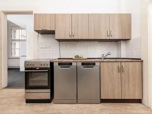 Pronájem pokoje, Plzeň, Riegrova, 190 m2