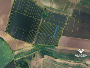 Prodej podílu pole, Tatce, 371 m2