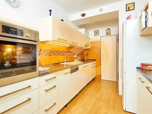 Prodej bytu 3+kk, Borek, Družstevní, 67 m2