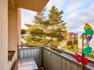 Prodej bytu 3+kk, Borek, Družstevní, 67 m2