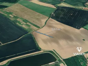 Prodej pole, Morkůvky, 877 m2