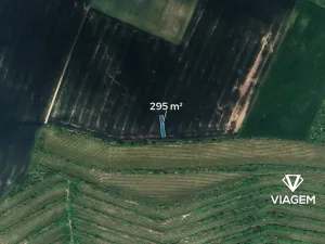 Prodej pole, Morkůvky, 295 m2
