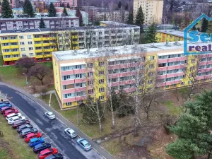 Pronájem bytu 1+1, Karviná, Školská, 38 m2