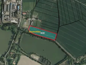 Prodej pole, Chlumec nad Cidlinou, 10037 m2