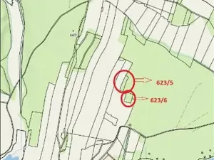 Prodej lesa, Nová Bystřice, 2850 m2