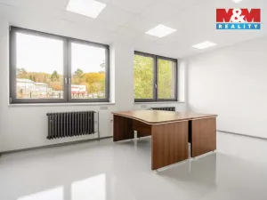 Pronájem kanceláře, Děčín - Děčín II-Nové Město, Benešovská, 320 m2