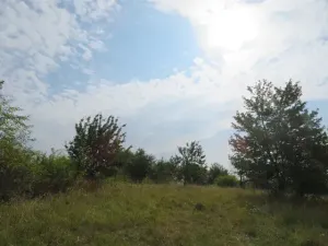 Dražba zahrady, Ploskovice, 23378 m2