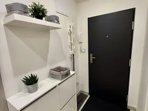 Pronájem bytu 2+1, Hradec Králové - Pražské Předměstí, U Koruny, 65 m2