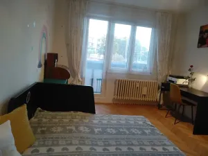 Pronájem bytu 1+1, Slaný, Plynárenská, 35 m2