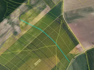 Prodej pole, Čejkovice, 25676 m2