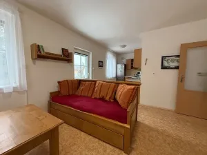 Pronájem bytu 2+kk, Žacléř, Pod Zahradami, 59 m2