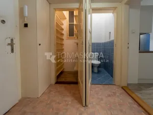 Pronájem bytu 1+1, Praha - Dejvice, Koulova, 40 m2