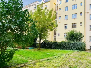 Pronájem bytu 2+1, Praha - Žižkov, Lucemburská, 68 m2