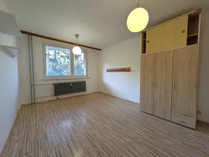 Pronájem bytu 1+1, Brno, Palackého třída, 36 m2