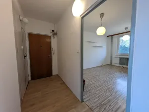 Pronájem bytu 1+1, Brno, Palackého třída, 36 m2