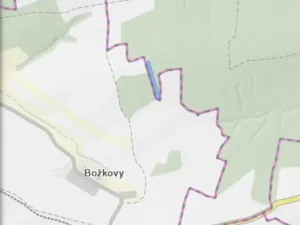 Dražba lesa, Blížejov, 4624 m2