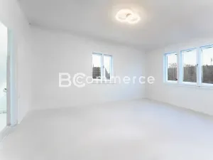 Prodej rodinného domu, Brandýs nad Labem-Stará Boleslav, Na baterii, 300 m2