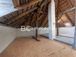 Prodej rodinného domu, Brandýs nad Labem-Stará Boleslav, Na baterii, 300 m2