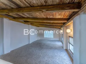 Prodej rodinného domu, Brandýs nad Labem-Stará Boleslav, Na baterii, 300 m2