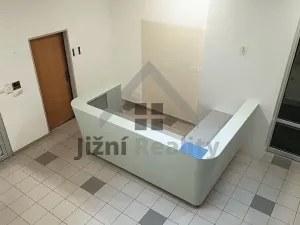 Pronájem obchodního prostoru, Praha - Břevnov, Bělohorská, 1054 m2