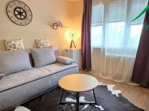 Pronájem bytu 1+kk, Tachov, Bělojarská, 25 m2