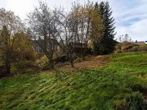 Prodej bytu 2+kk, Železná Ruda, 56 m2