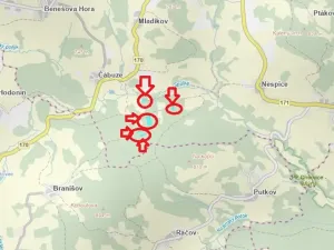 Prodej lesa, Vacov, 14711 m2