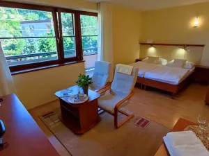 Prodej bytu 1+kk, Luhačovice, 39 m2