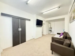 Prodej bytu 3+1, Starý Plzenec, Nerudova, 65 m2