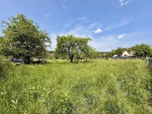 Prodej pozemku pro bydlení, Olšany, 1816 m2