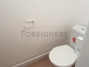 Pronájem bytu 2+1, Praha - Smíchov, Staropramenná, 68 m2