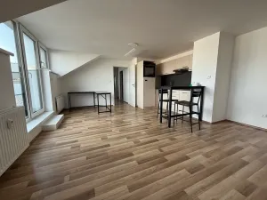 Pronájem bytu 1+kk, Brno, Táborská, 48 m2