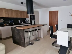 Prodej vícegeneračního domu, Pasohlávky, 320 m2