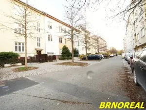 Prodej bytu 5+1, Brno, Střední, 178 m2