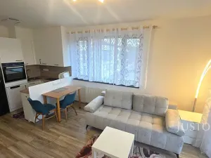 Pronájem bytu 1+kk, Písek, Pražská, 32 m2