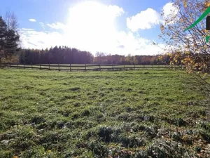 Prodej pozemku, Bor, 1427 m2