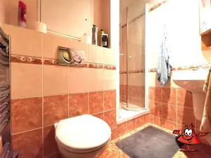 Pronájem bytu 5+1, Praha - Libeň, Přádova, 130 m2