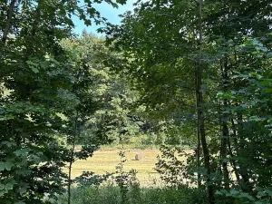 Dražba pozemku, Krompach, 21972 m2