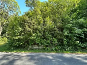 Dražba pozemku, Krompach, 21972 m2