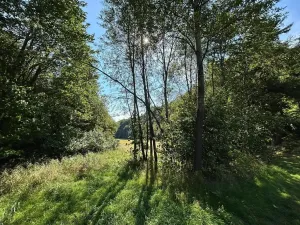 Dražba pozemku, Krompach, 21972 m2