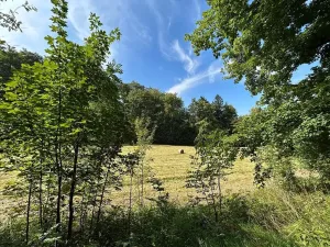 Dražba pozemku, Krompach, 21972 m2