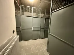 Prodej bytu 1+kk, Klatovy, Dragounská, 42 m2